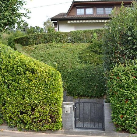 Ferienwohnung Kaiserstuhlblick 테닝겐 외부 사진