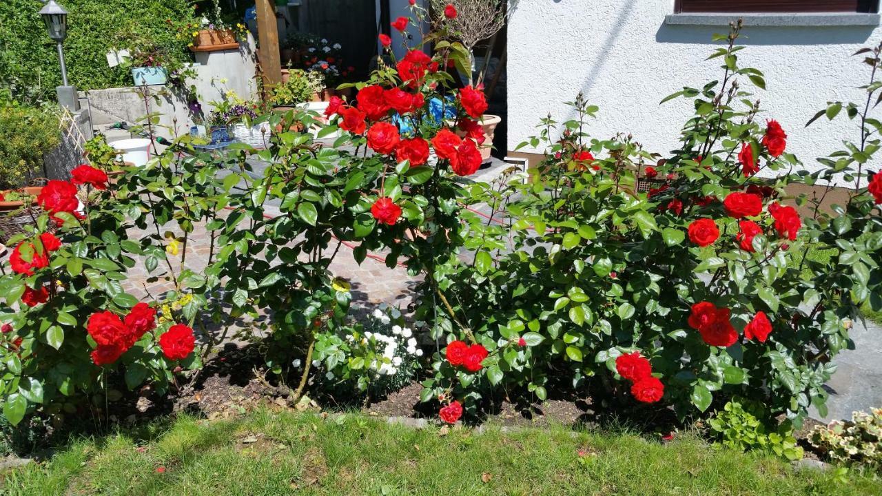 Ferienwohnung Kaiserstuhlblick 테닝겐 외부 사진